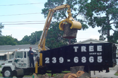 tree service for st.petersburg-clearwater area call 727-239-6865
